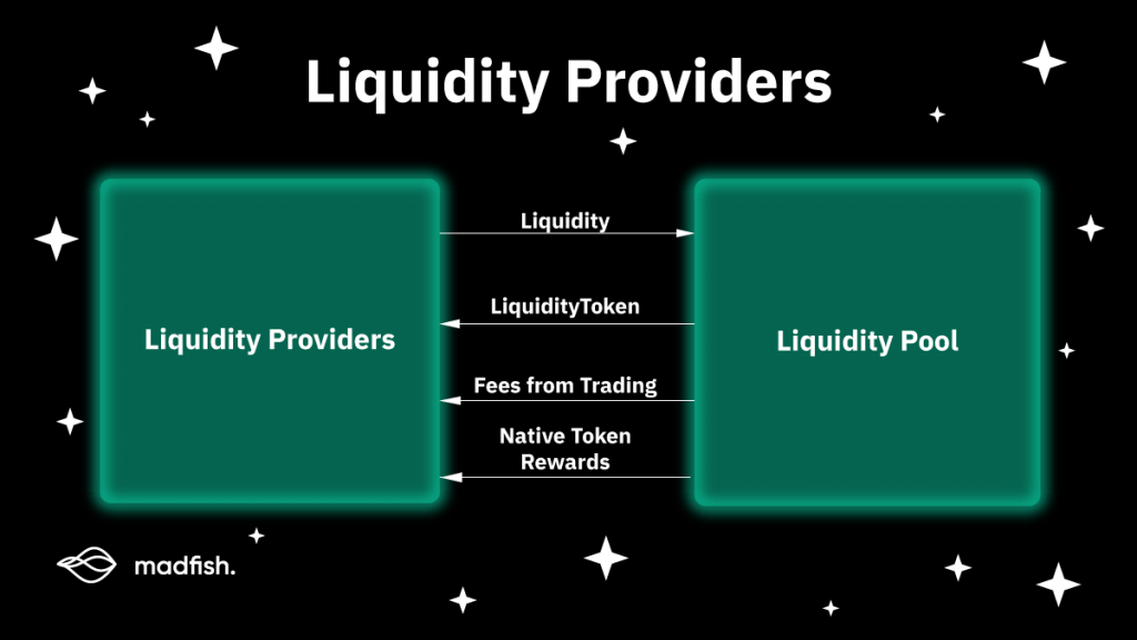 AMM Liquidity Provider
