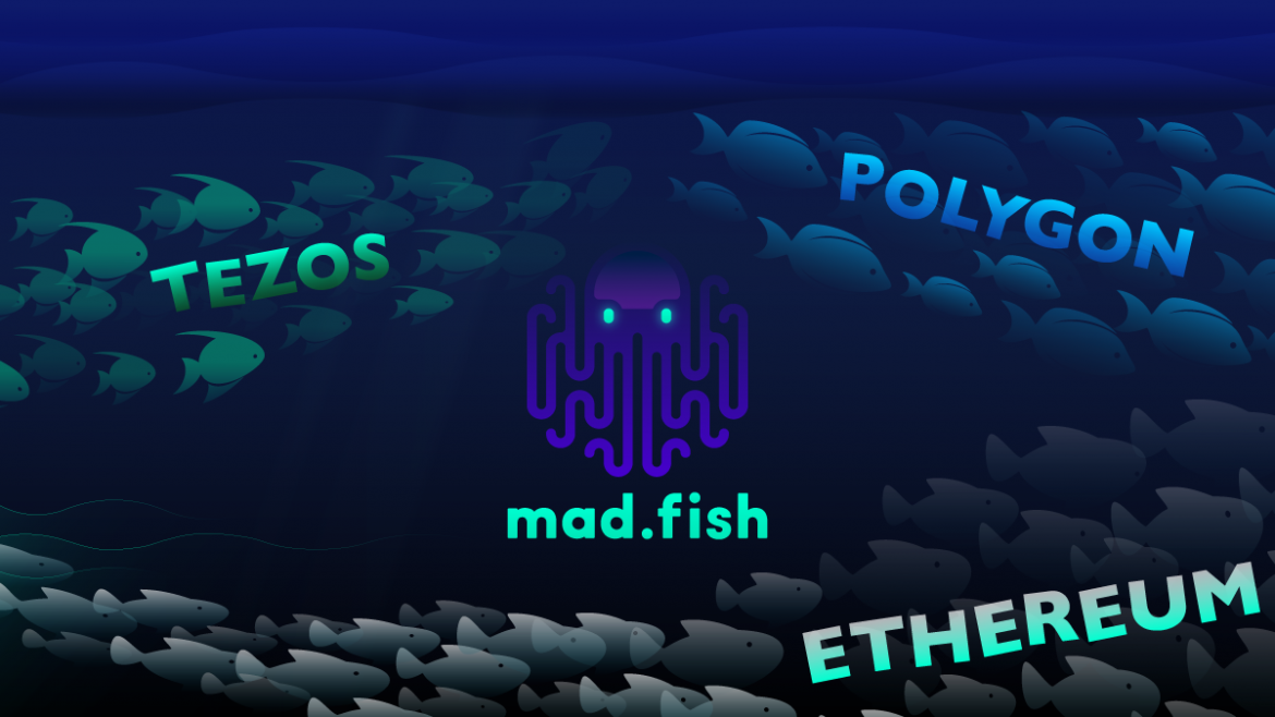 TOP Blockchains for Decentralized Applications